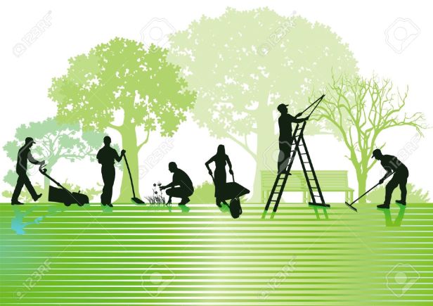 19447100-Gardening-and-garden-maintenance-Stock-Vector-lawn